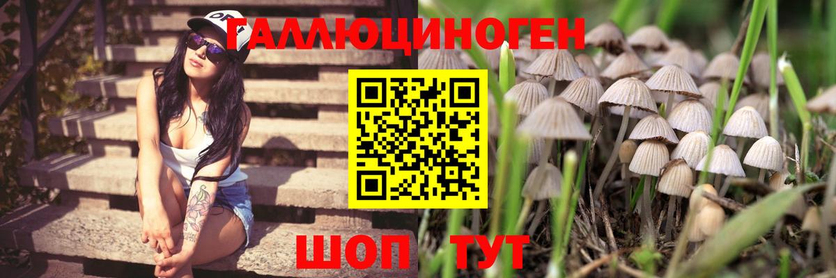 Псилоцибиновые грибы мухоморы Бахчисарай